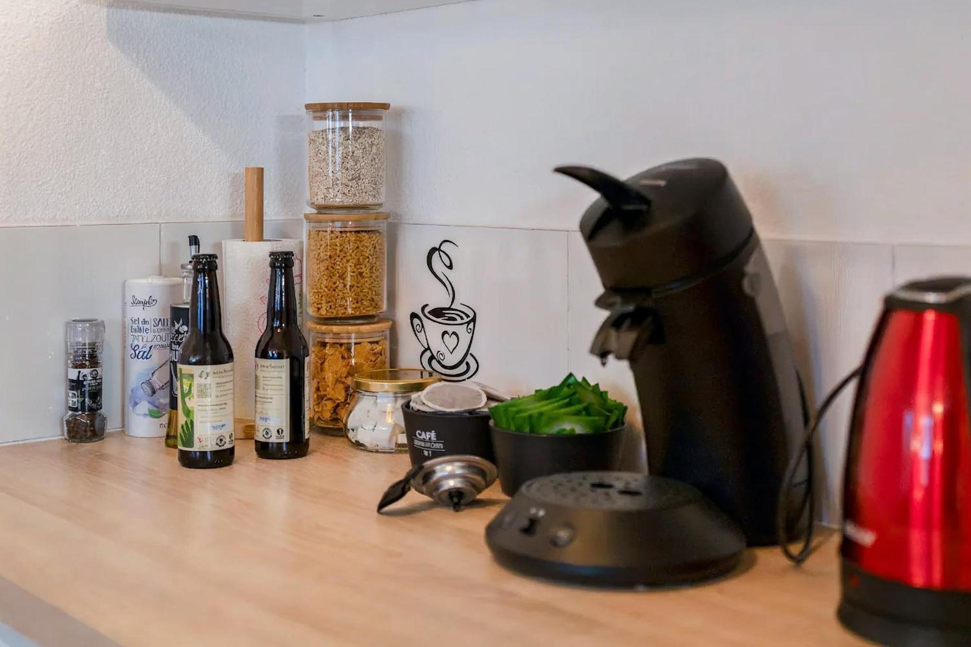 Superbe Appartement - Parking Gratuit - 4 Personnes Chambéry Exterior foto